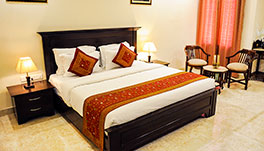 Raj Regency-Deluxe Double Room